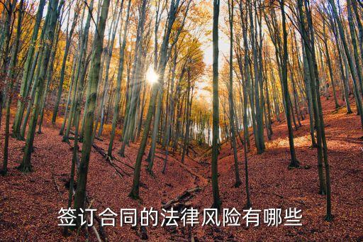 簽訂合同的法律風(fēng)險有哪些