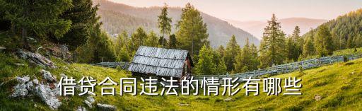 哪些貸款合同違法了法律，借貸合同違法的情形有哪些