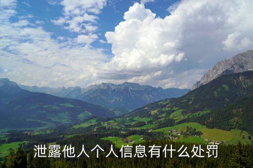 泄露他人個(gè)人信息有什么處罰