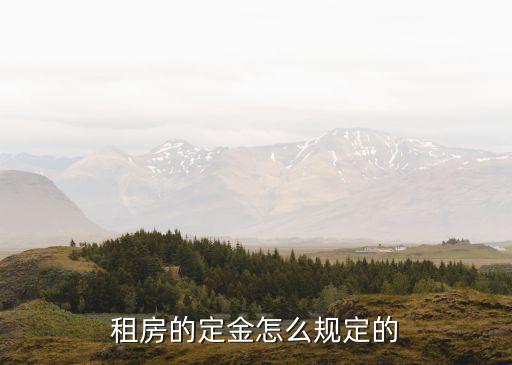 租房定金的法律規(guī)定有哪些條款，民法典租房定金合同包含什么內(nèi)容