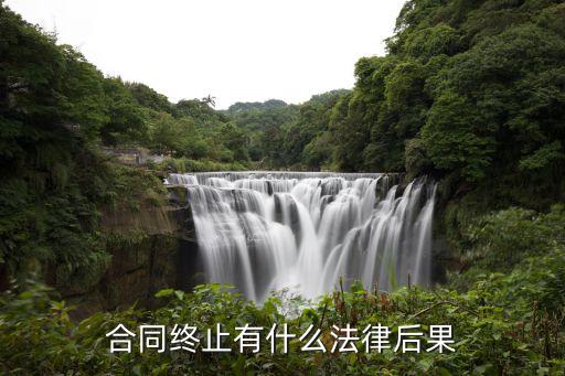 合同終止有哪些法律后果，合同終止的法律后果有哪些