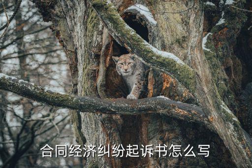 合同糾紛起訴書怎么寫才有效，合同糾紛起訴書怎么寫