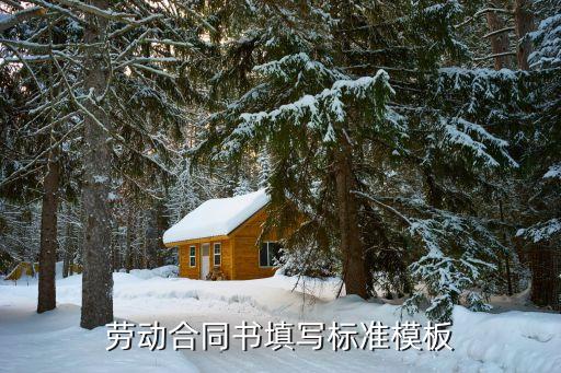 娛樂場(chǎng)所勞動(dòng)合同模板，求一份簡(jiǎn)單的勞動(dòng)合同書格式