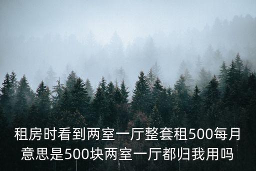 租房時看到兩室一廳整套租500每月意思是500塊兩室一廳都歸我用嗎