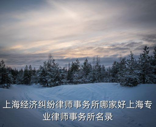 上海經(jīng)濟(jì)糾紛律師事務(wù)所哪家好上海專業(yè)律師事務(wù)所名錄