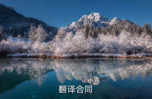 翻譯服務(wù)合同，翻譯合同