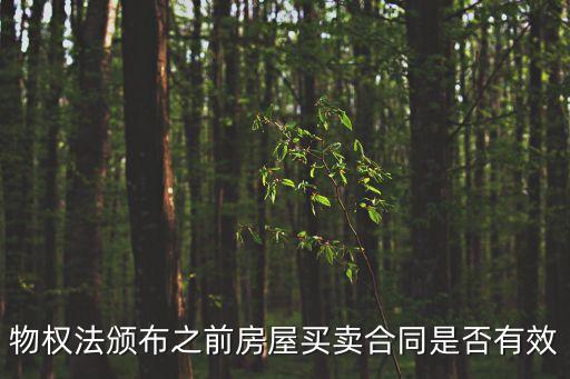 物權(quán)法頒布之前房屋買賣合同是否有效