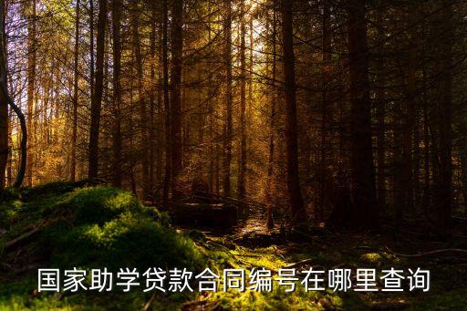 國家助學(xué)貸款合同編號在哪里查詢