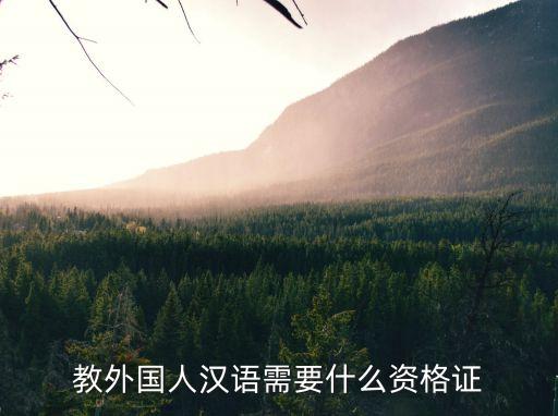 教外國人漢語需要什么資格證，教外國人漢語需要什么資格證