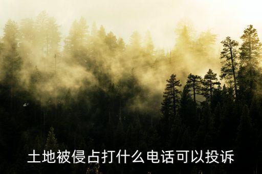 土地被占用投訴電話，土地被侵占打什么電話可以投訴