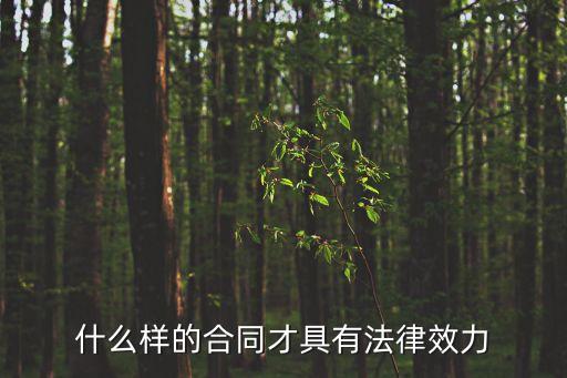 什么樣的合同才具有法律效力