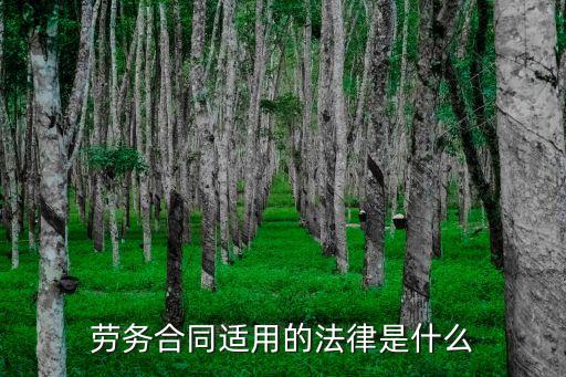 勞務(wù)合同適用的法律是什么