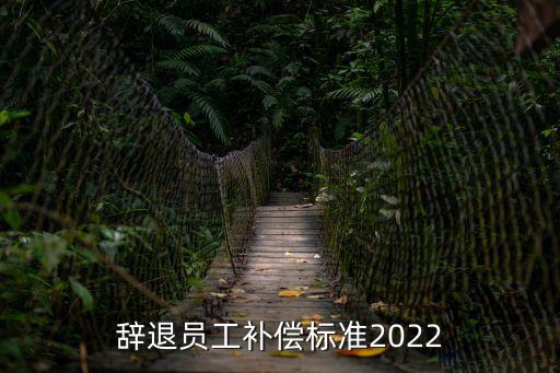 辭退員工補(bǔ)償標(biāo)準(zhǔn)2022