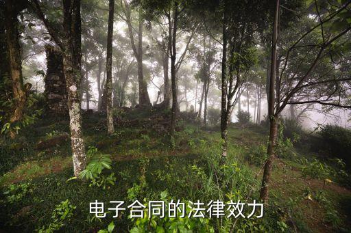 電子合同的法律效應有哪些，電子合同有什么法律效力