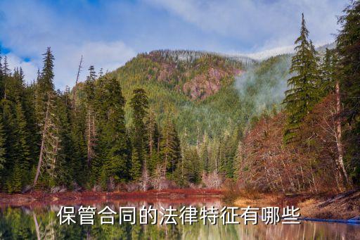 保管合同法律特征有哪些，保管合同的特征是什么
