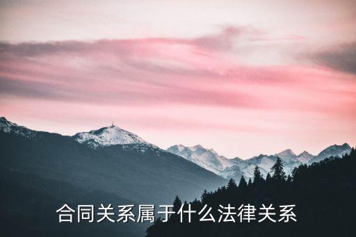 合同關(guān)系屬于什么法律關(guān)系