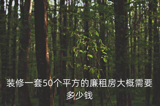 廉租房50平方二房一廳裝修圖，我家住的是2房一廳50平米的廉租房我和我爸媽一起住在這樣的房子里結(jié)婚