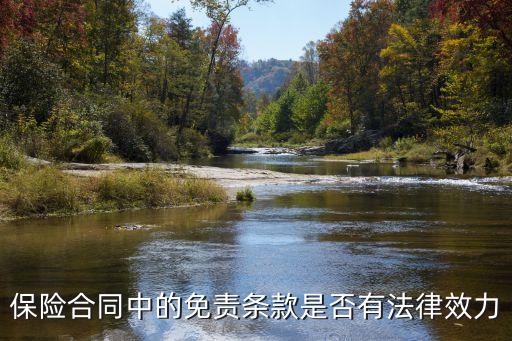 保險合同上有什么法律效力，保險合同中的免責(zé)條款是否有法律效力
