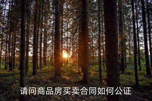購銷合同如何法律公證，請問商品房買賣合同如何公證