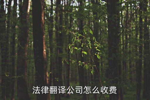 法律合同翻譯收費標(biāo)準(zhǔn)，關(guān)于公證的翻譯費用