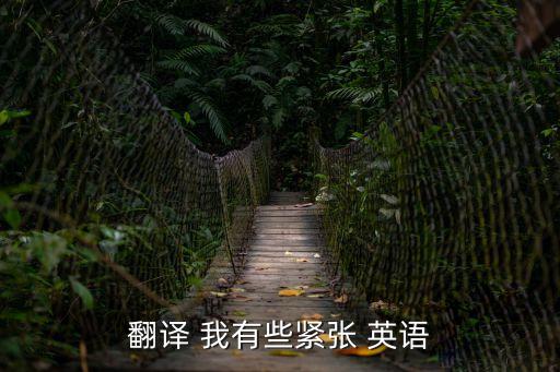 翻譯 我有些緊張 英語(yǔ)