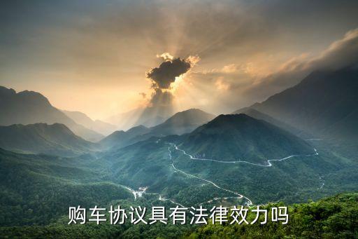 購車協(xié)議具有法律效力嗎