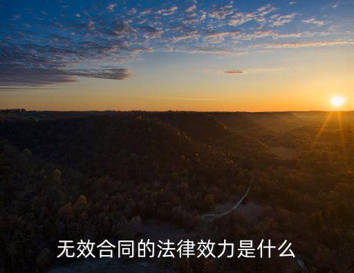 無效合同的法律效力是什么
