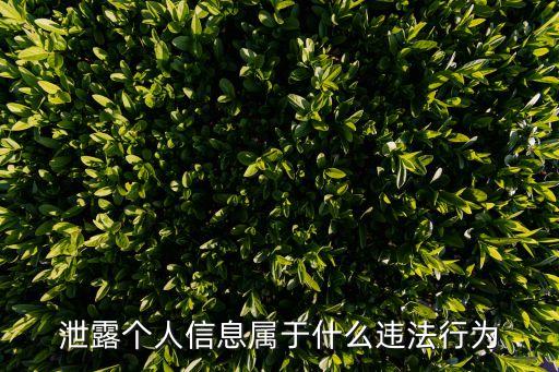 泄露個人信息犯什么法規(guī)，泄露個人信息怎么處罰