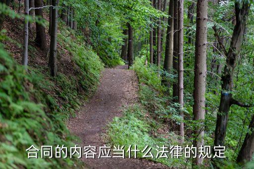 合同的內(nèi)容應(yīng)當(dāng)什么法律規(guī)，合同的內(nèi)容應(yīng)當(dāng)什么法律的規(guī)定