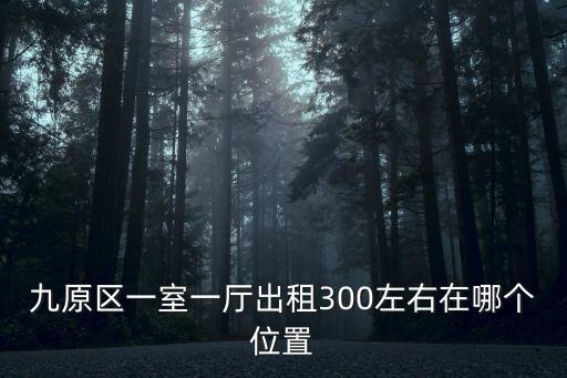 300元一室一廳出租，一室一廳出租300左右泰安結(jié)莊附近有嗎