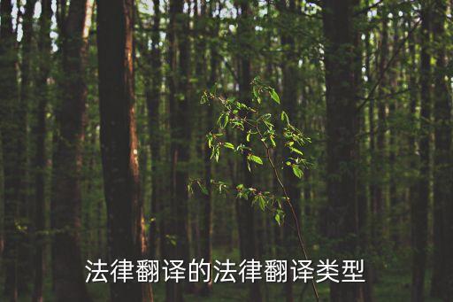 合同法律翻譯有哪些，法律翻譯的法律翻譯類型