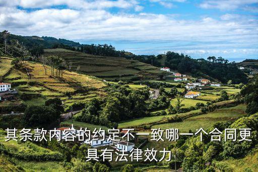 其條款內(nèi)容的約定不一致哪一個合同更具有法律效力