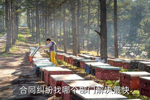 合同糾紛找哪個(gè)部門解決最快