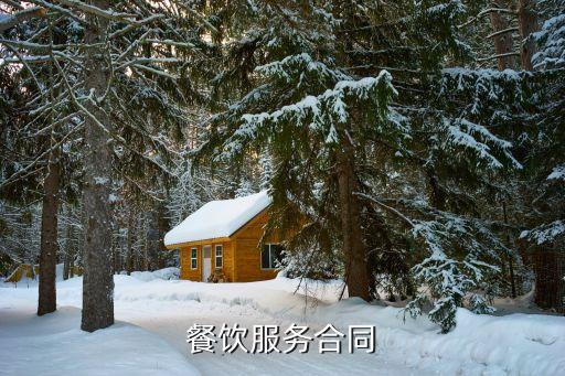 提供就餐服務(wù)合同，訂餐服務(wù)合同