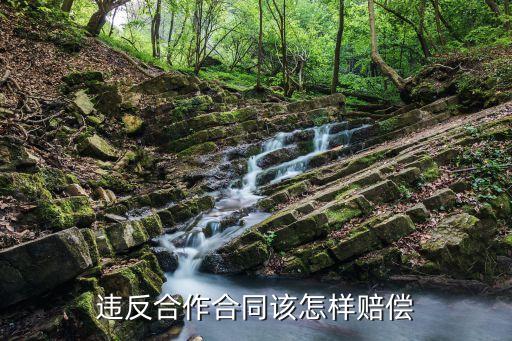 違反合作合同該怎樣賠償