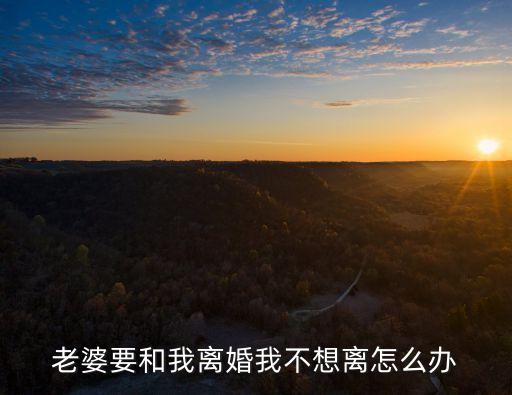老婆要和我離婚我不想離怎么辦