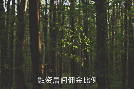  融資居間傭金比例