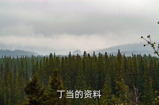 主持人叮當,四川電視臺主持人叮當