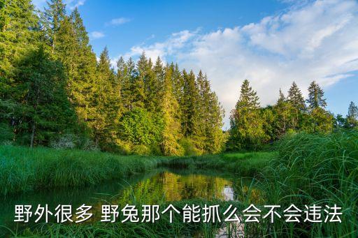 抓野兔犯法嗎