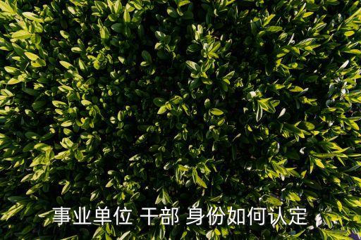 干部身份