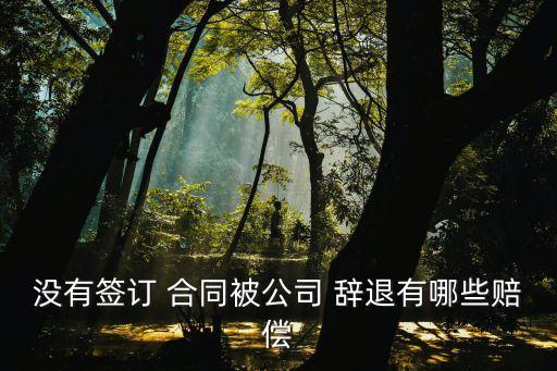 沒有簽訂 合同被公司 辭退有哪些賠償