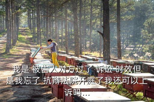 被告未提出訴訟時效抗辯,被告進行訴訟時效抗辯法院一般怎么判決
