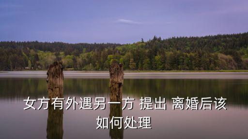  女方有外遇另一方 提出 離婚后該如何處理