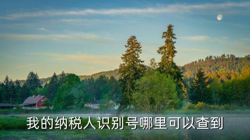 我的納稅人識別號哪里可以查到