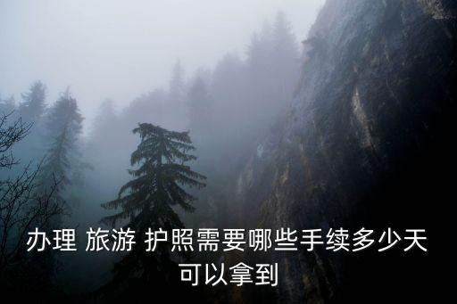 辦理 旅游 護照需要哪些手續(xù)多少天可以拿到