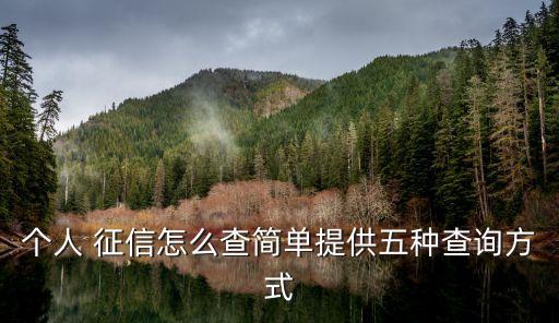 個人 征信怎么查簡單提供五種查詢方式