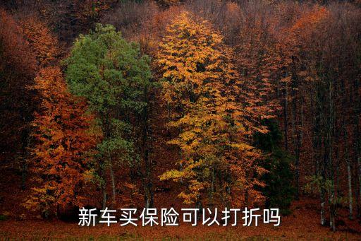 車(chē)險(xiǎn)折扣,2023年車(chē)險(xiǎn)折扣