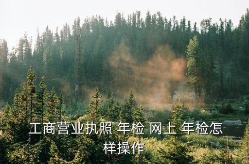  工商營(yíng)業(yè)執(zhí)照 年檢 網(wǎng)上 年檢怎樣操作