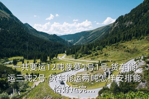 一共要運(yùn)12噸菠蘿1號(hào)1號(hào) 貨車能運(yùn)三噸2號(hào) 貨車能運(yùn)兩噸怎樣安排能恰好運(yùn)完...