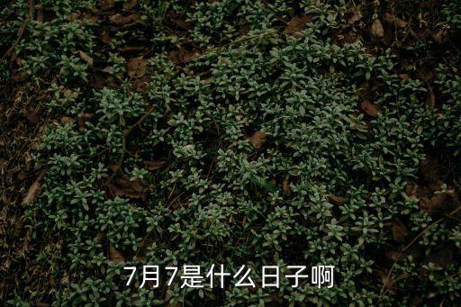 七月七號(hào)
